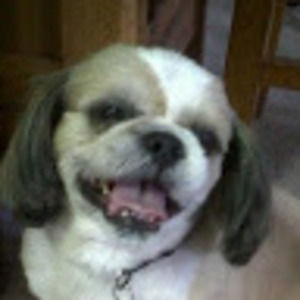 Meet your Posher, Lynn